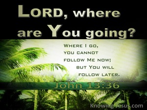 John 13:36